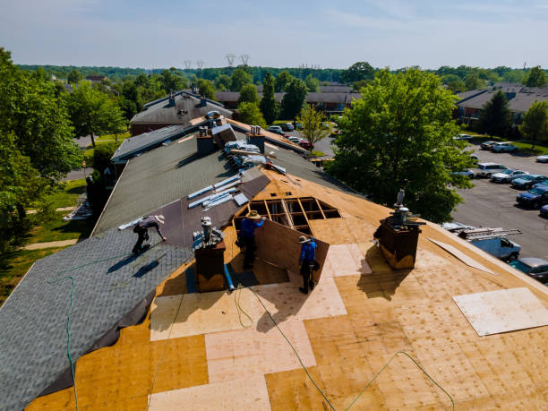 Trusted Storm Damage Roof Repair service in Takoma Park, MD - Brentwood Metal Roofing
